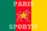 cameroon flag