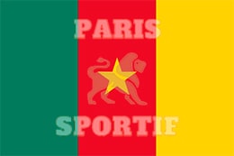 flag cameroon